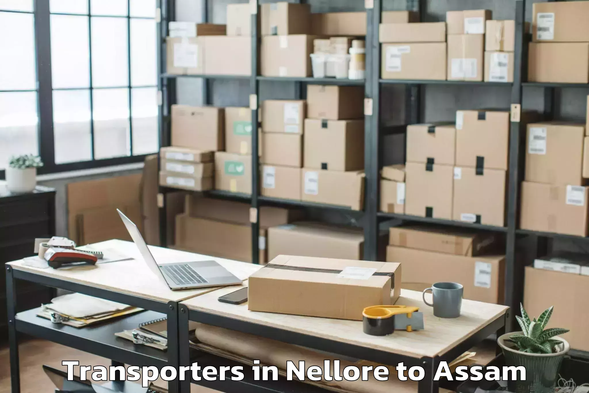 Book Nellore to Raha Gaon Transporters Online